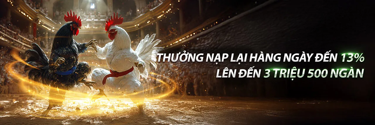 Đá gà trực tuyến kịch tính tại 5699win
